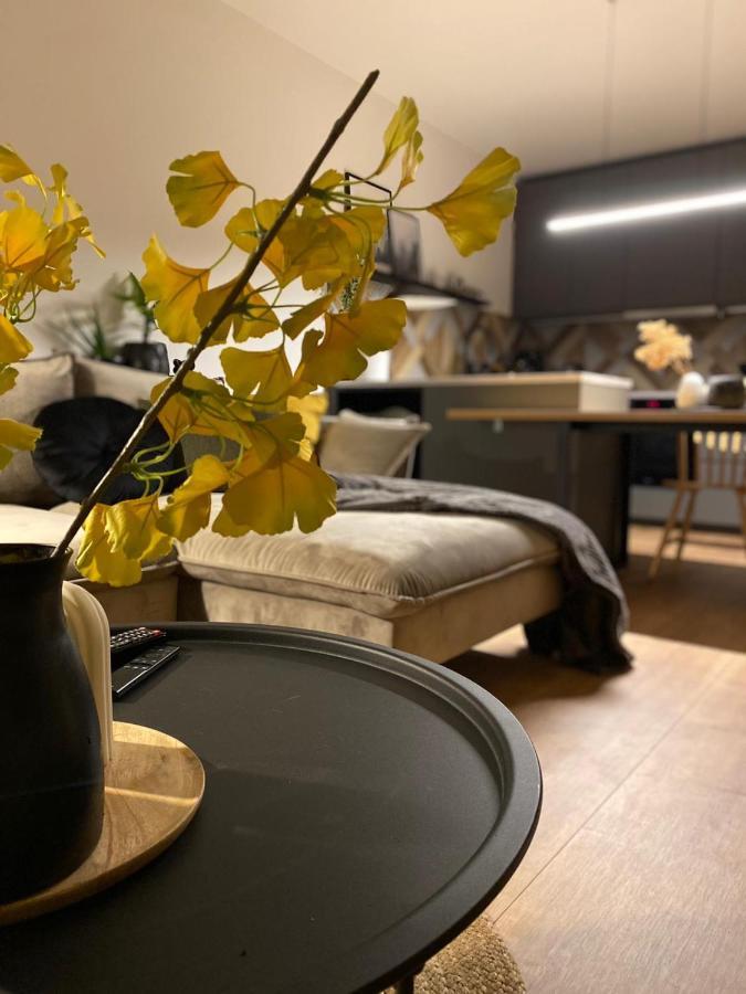 Boosko Me 2 Apartment Буско-Здрой Екстериор снимка